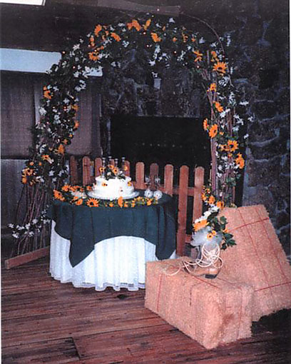 western wedding decorations 